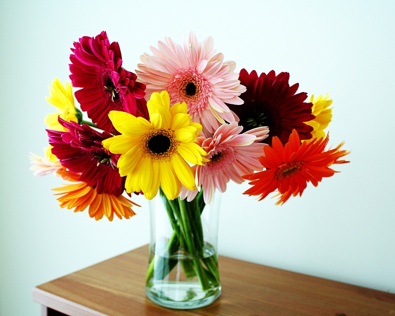 Герберы в вазе