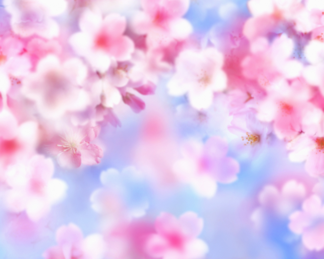 Розовые цветочки