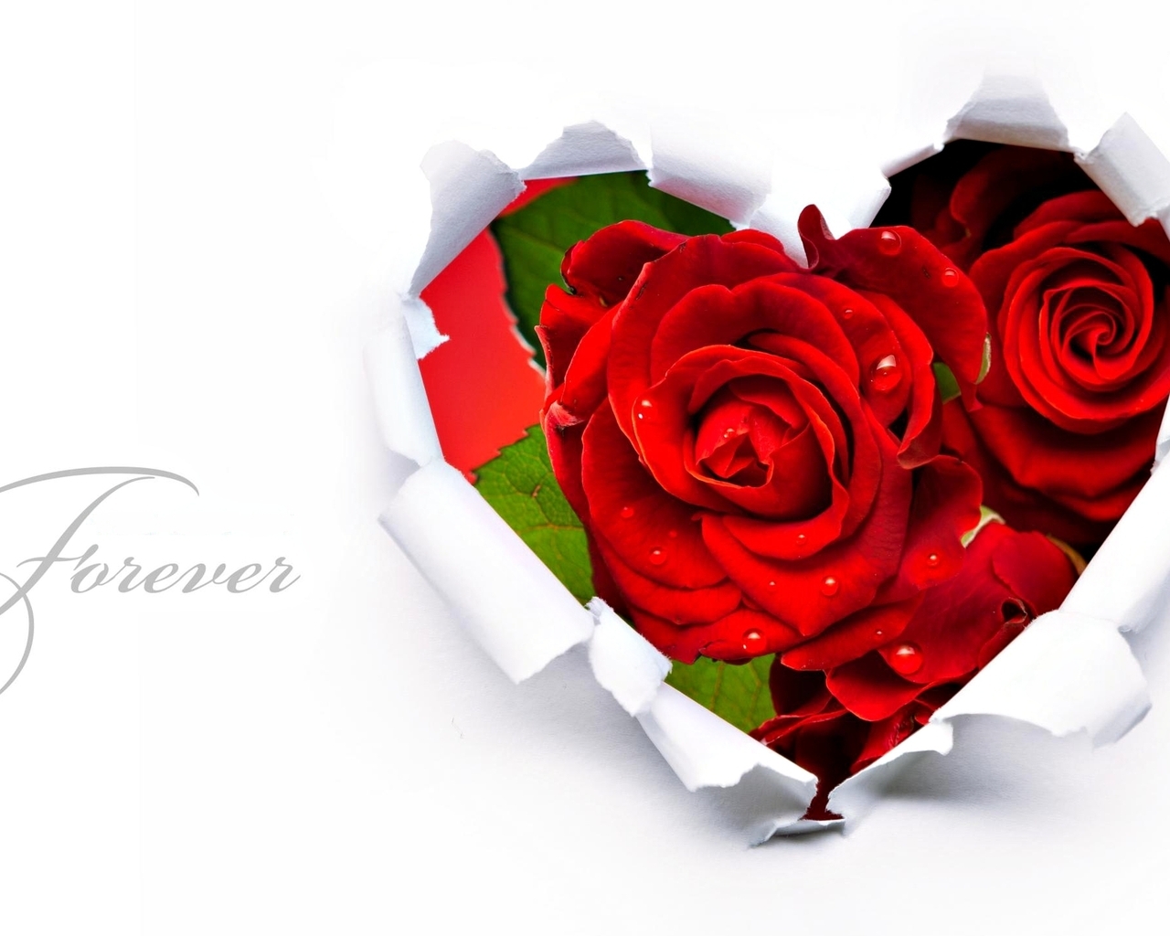 Розы в сердце