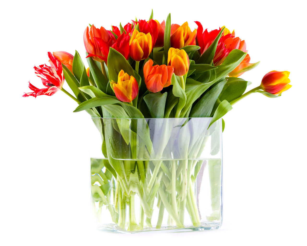 Ваза с тюльпанами