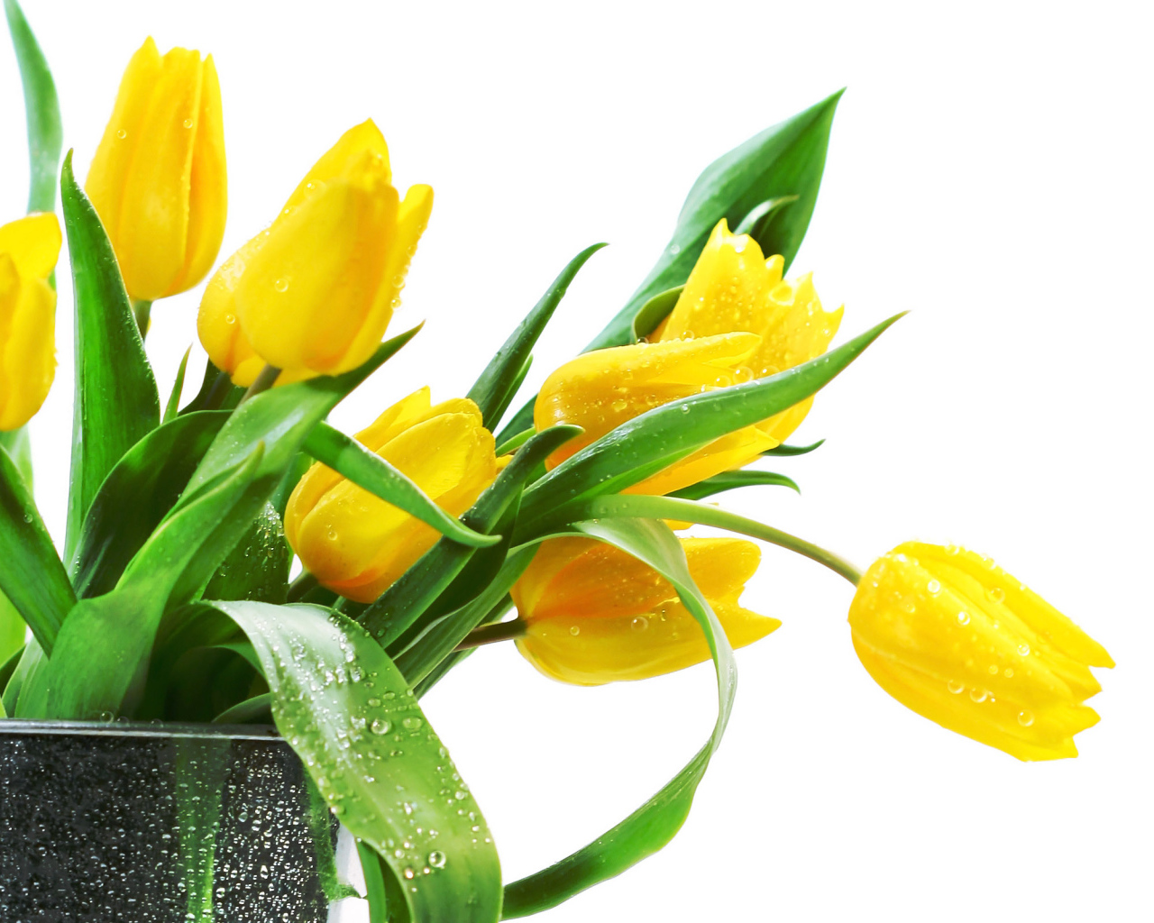 Желтые тюльпаны в вазе