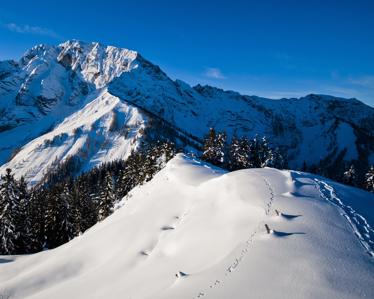 Утро в горах