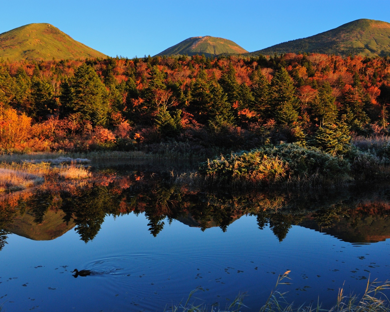 Горы у озера