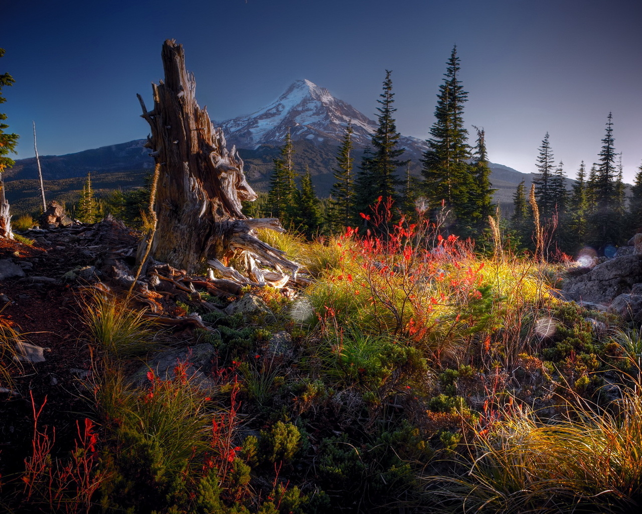 Гора на горизонте