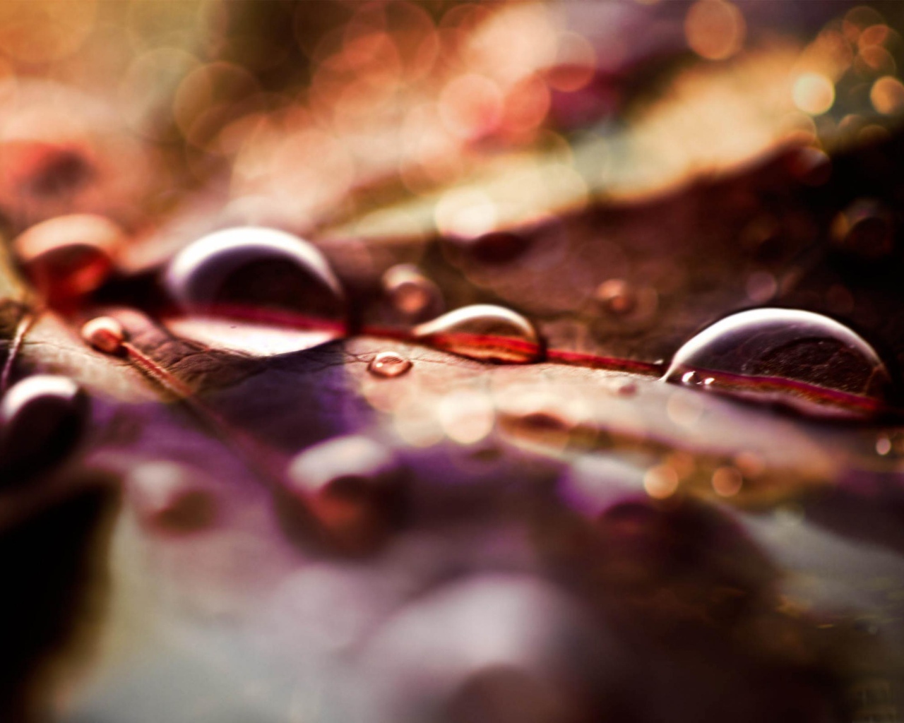 Капли на листке