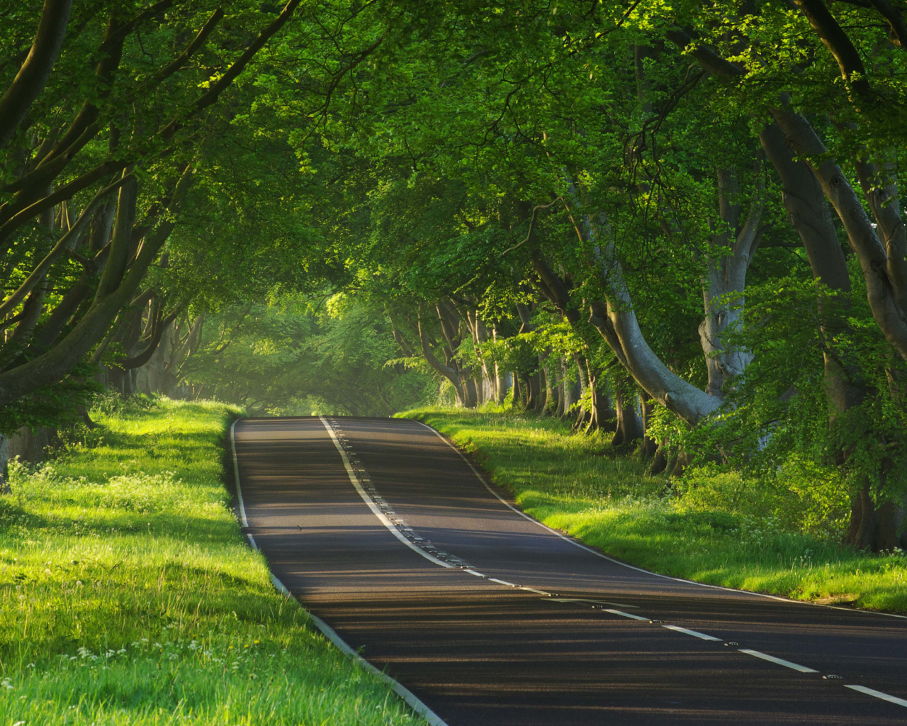 Дорога через тропики