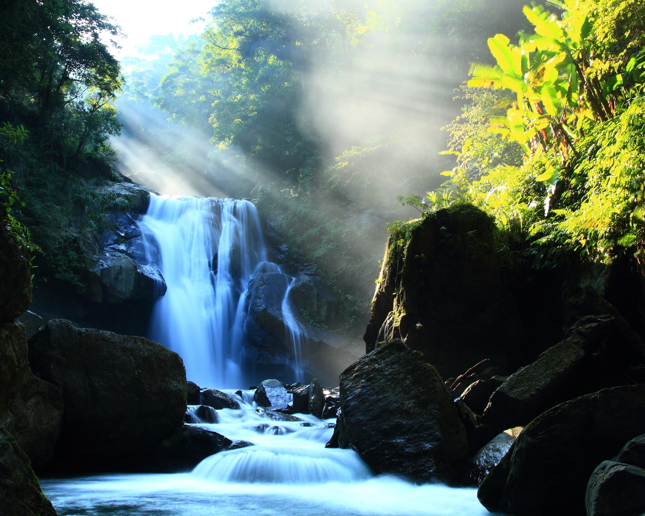 Речка в лесу