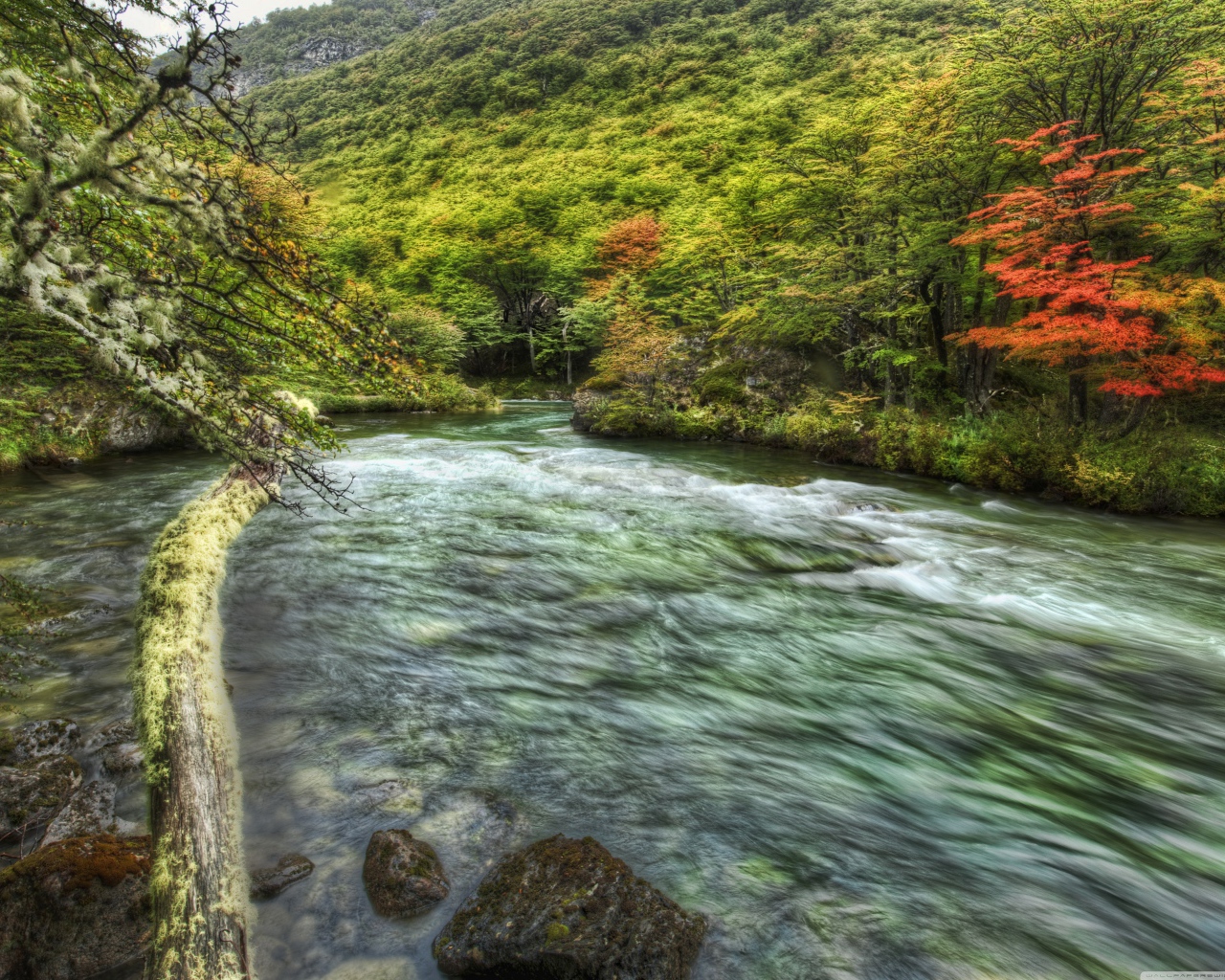 Быстрая горная речка