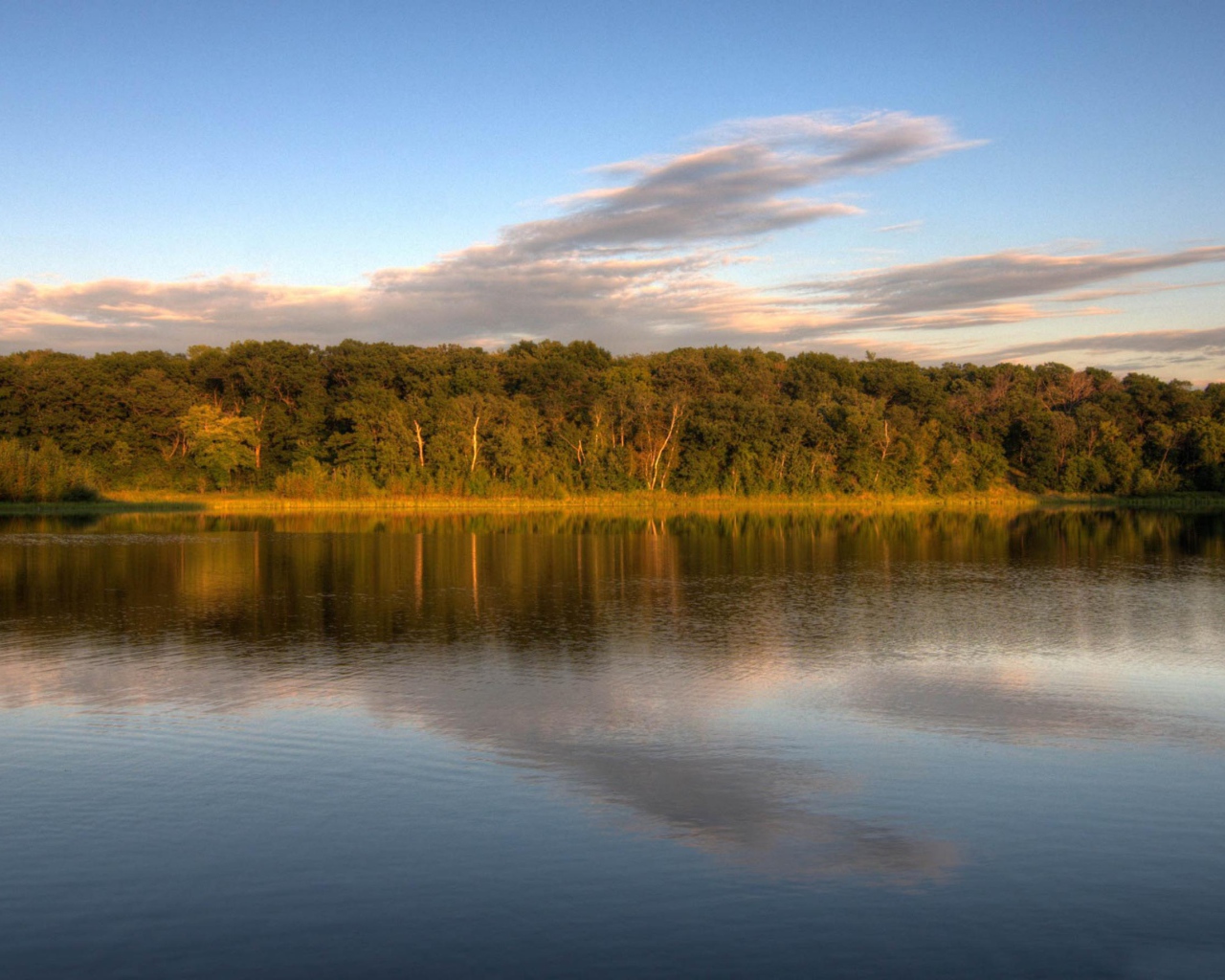 Озеро у леса