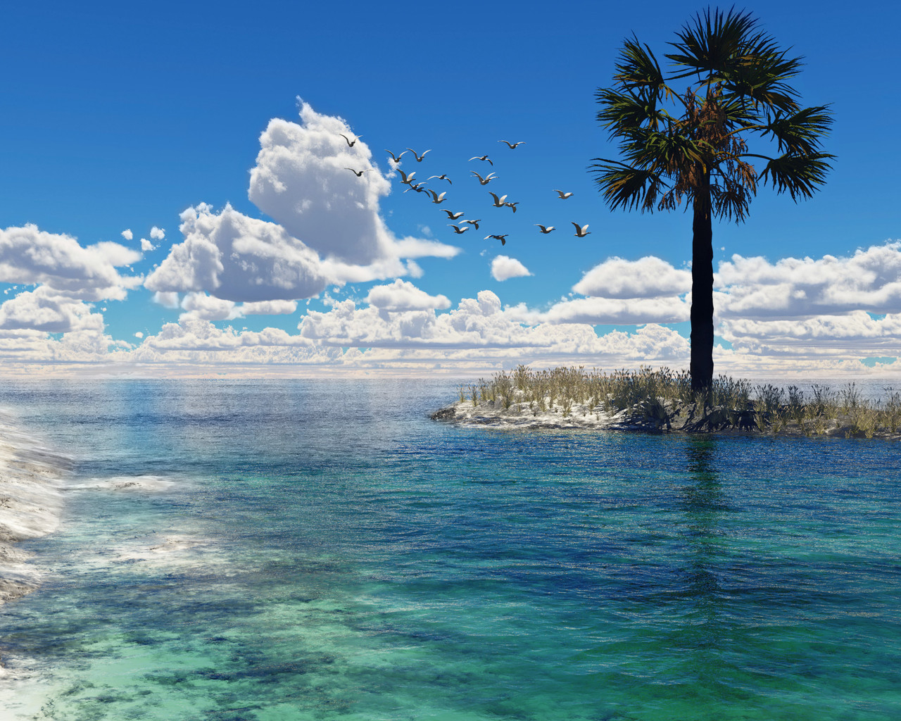 Чайки над морем