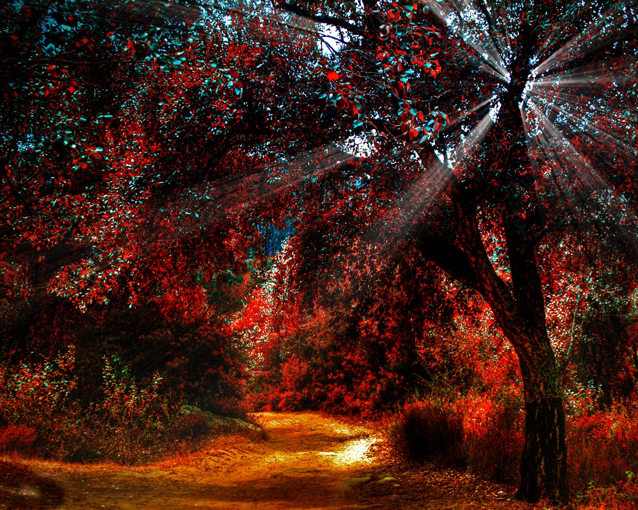 Солнечные лучи