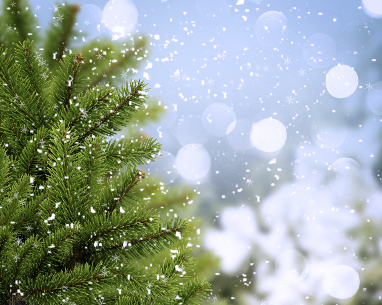 Ёлочка с лесу