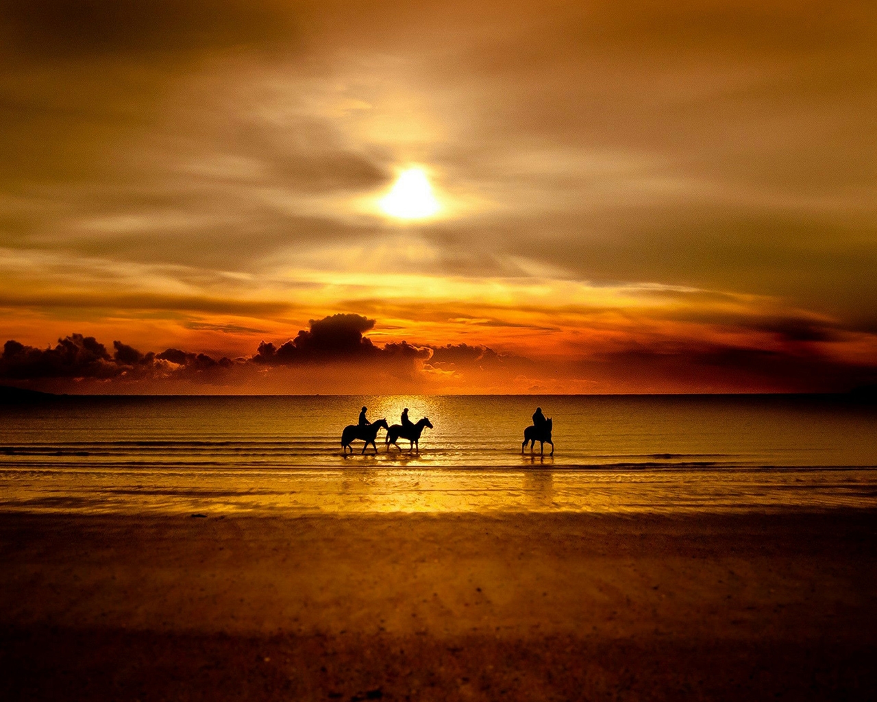 Прогулка на лошадях