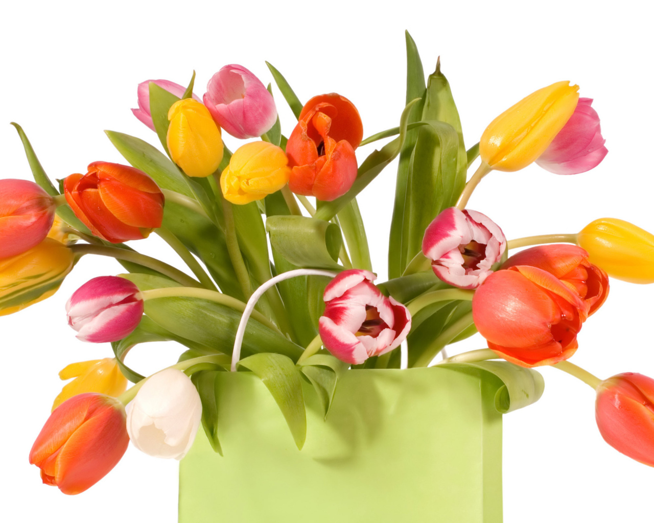 Тюльпаны в пакете