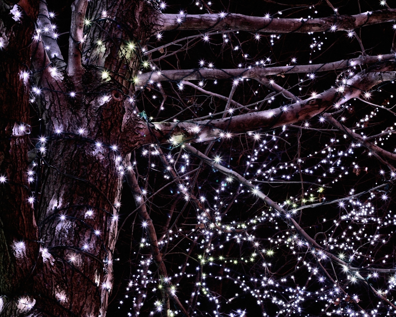Гирлянды на дереве