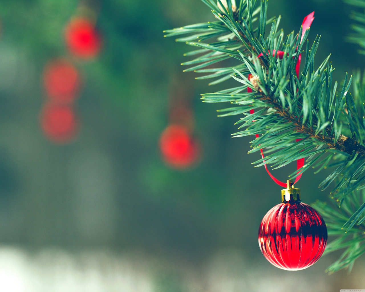 Красный шар на елке