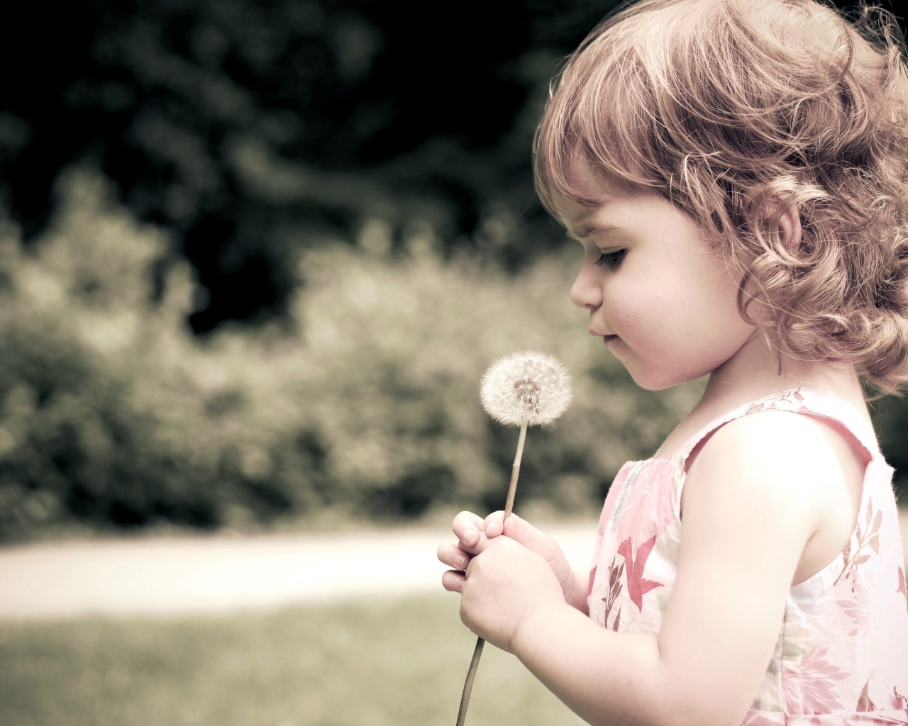 Ребенок и одуванчик
