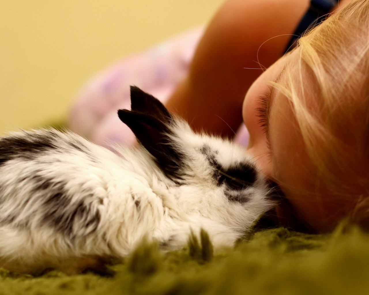 Девочка и кролик