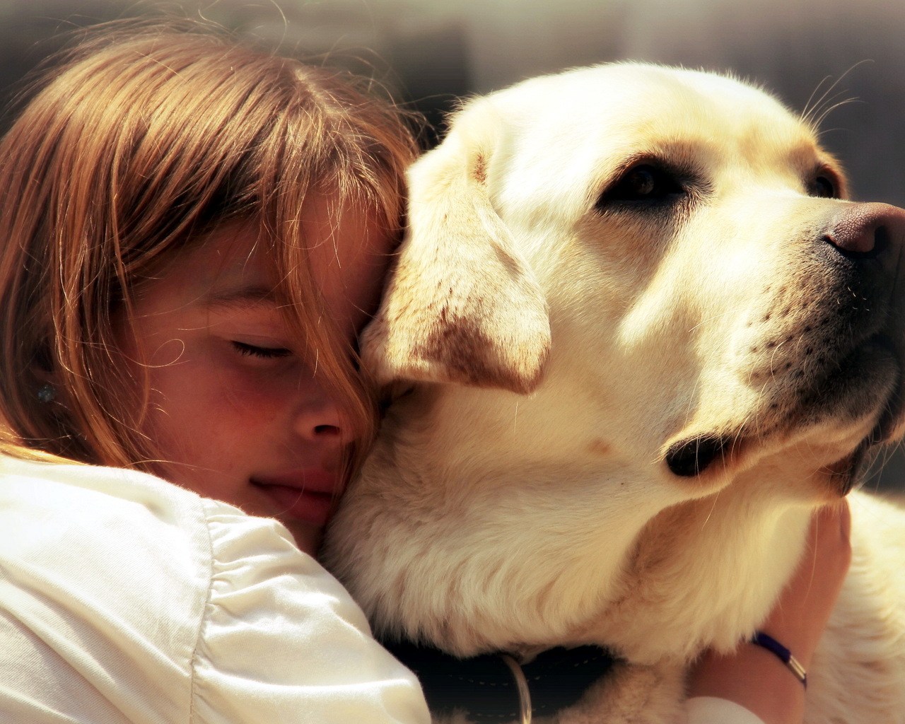 Девочка и собака