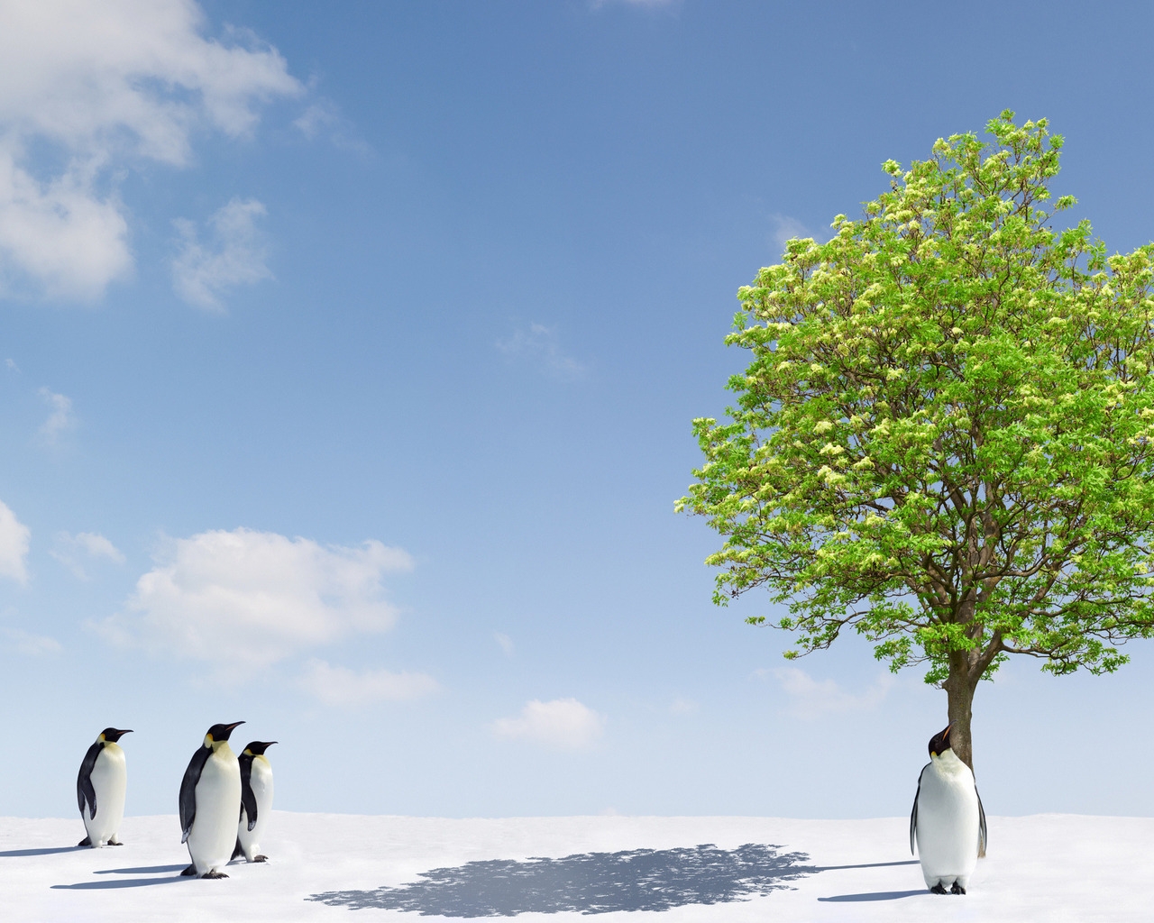Пингвины и дерево