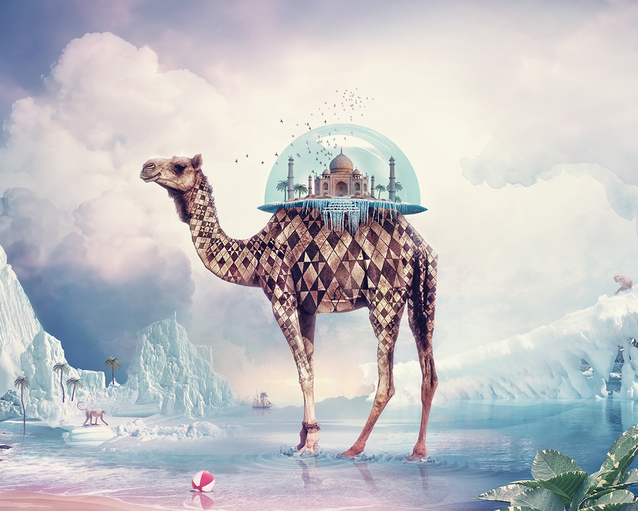 Необычный верблюд