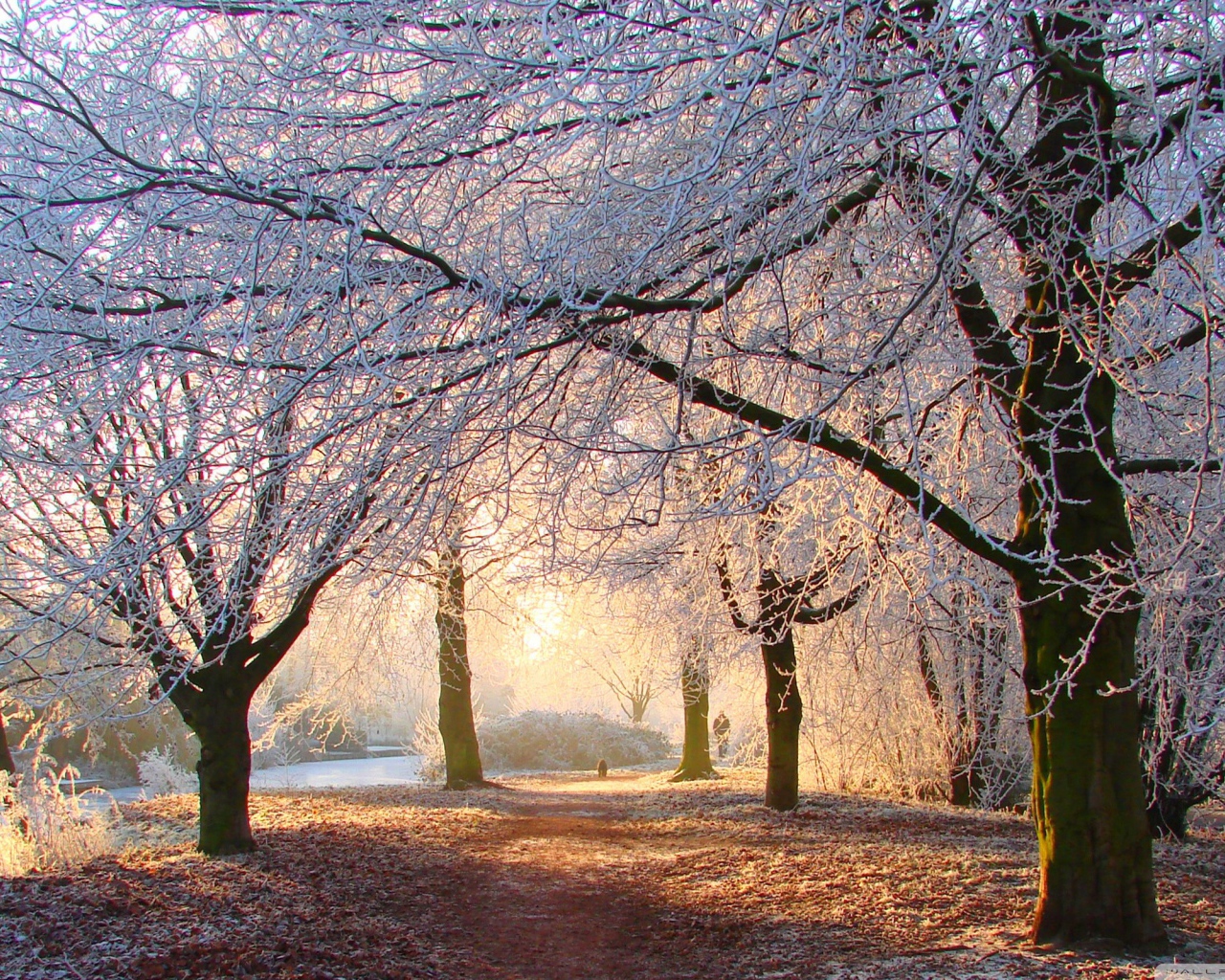 Зима на рассвете