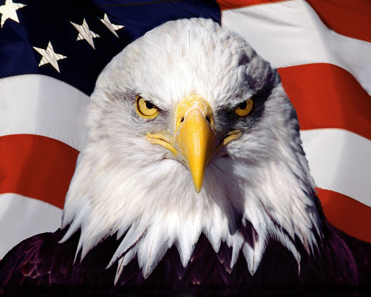 Орел на фоне американского флага