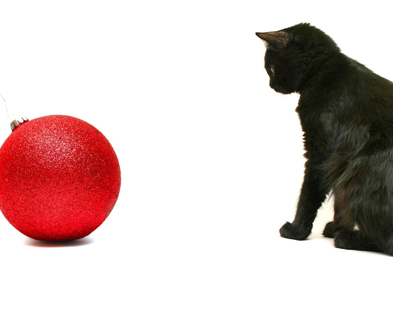 Чёрный кот и красный шар