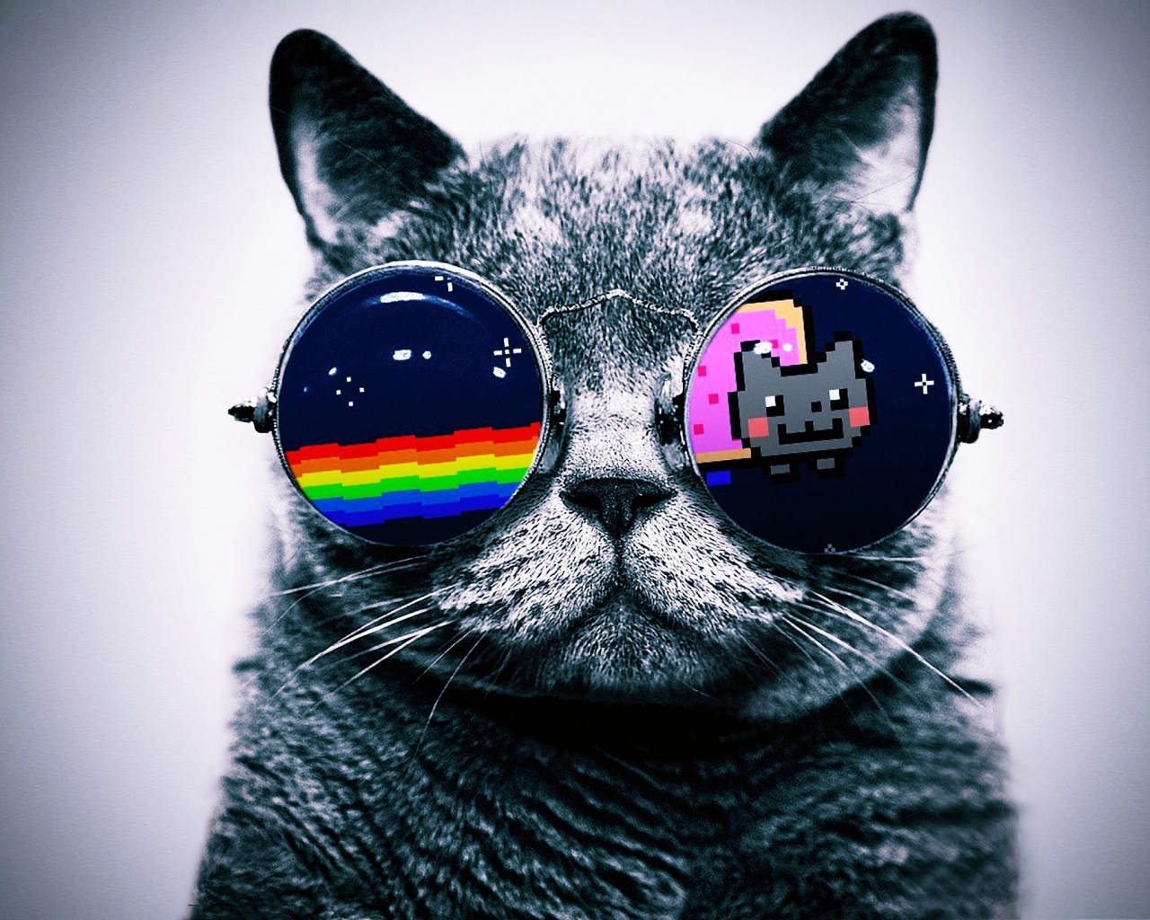 Кот в очках Hello Kitty