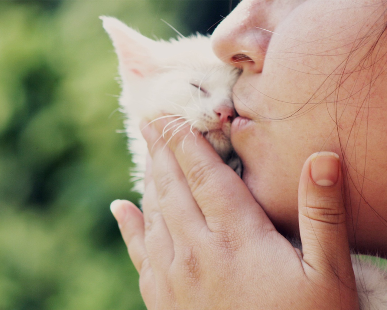 Маленький белый котеночек