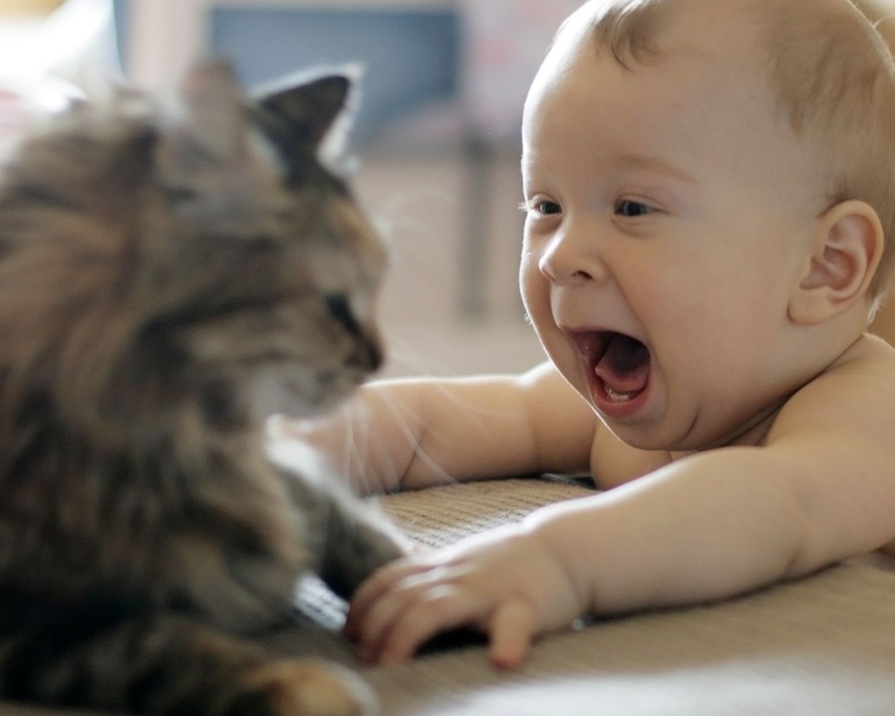 Кот и ребёнок, первая встреча
