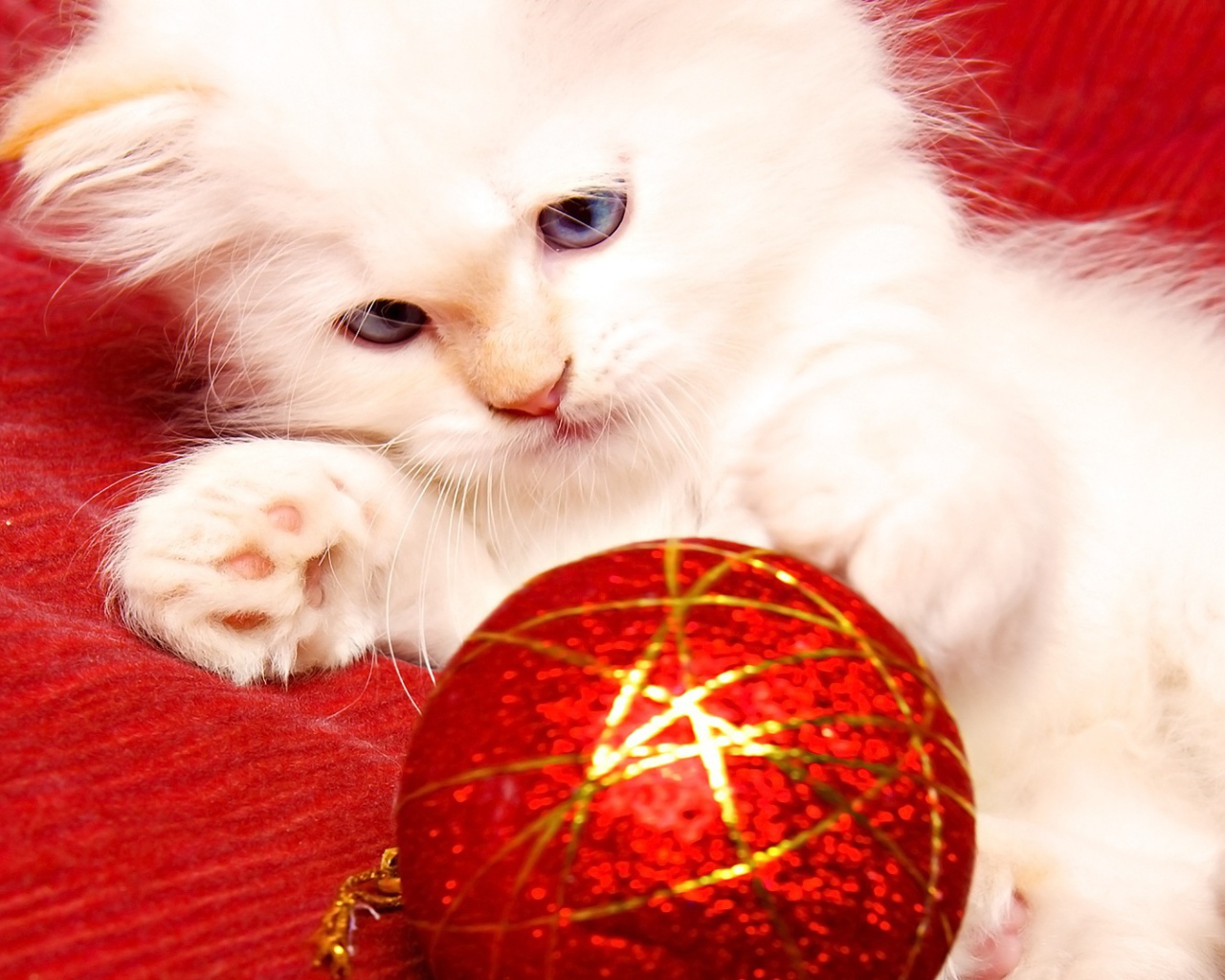 White cat Christmas tree toy