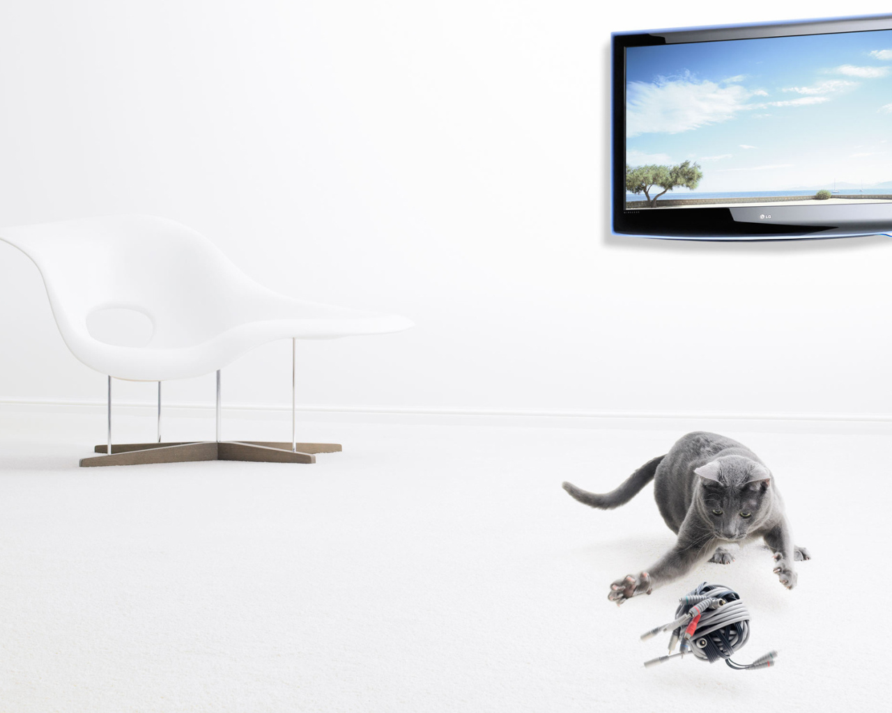 Серый кот и его игрушка