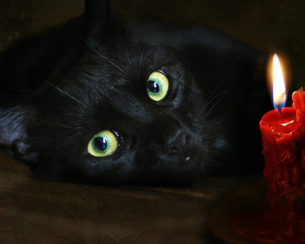 Черный кот и свеча