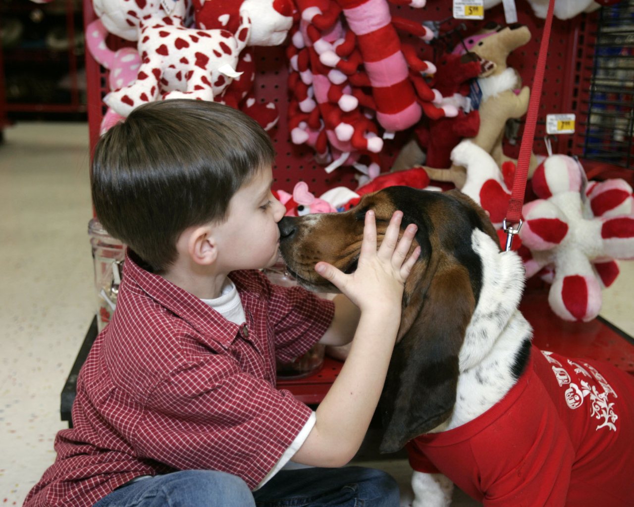 Бассет-хаунд и ребёнок