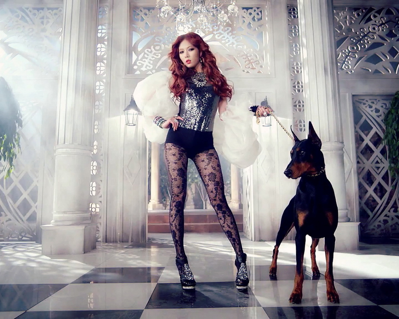 Поп-звезда и доберман