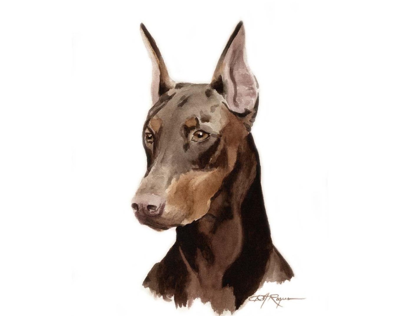 Картина добермана