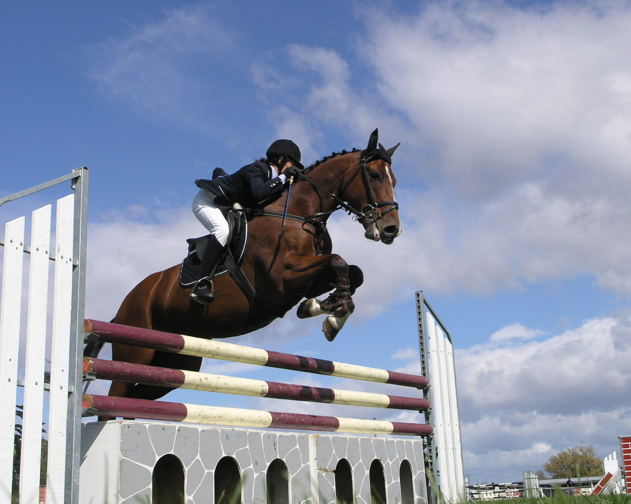 Знаменитые лошади