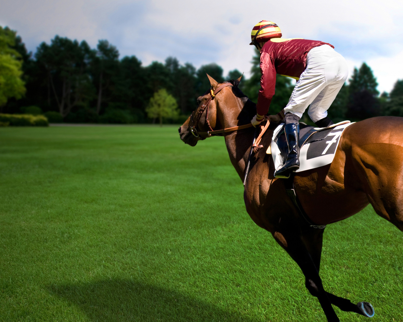 Езда на лошади