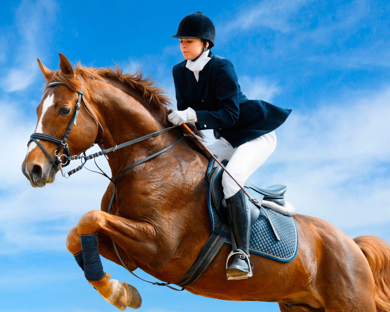 Лошадь скачущая