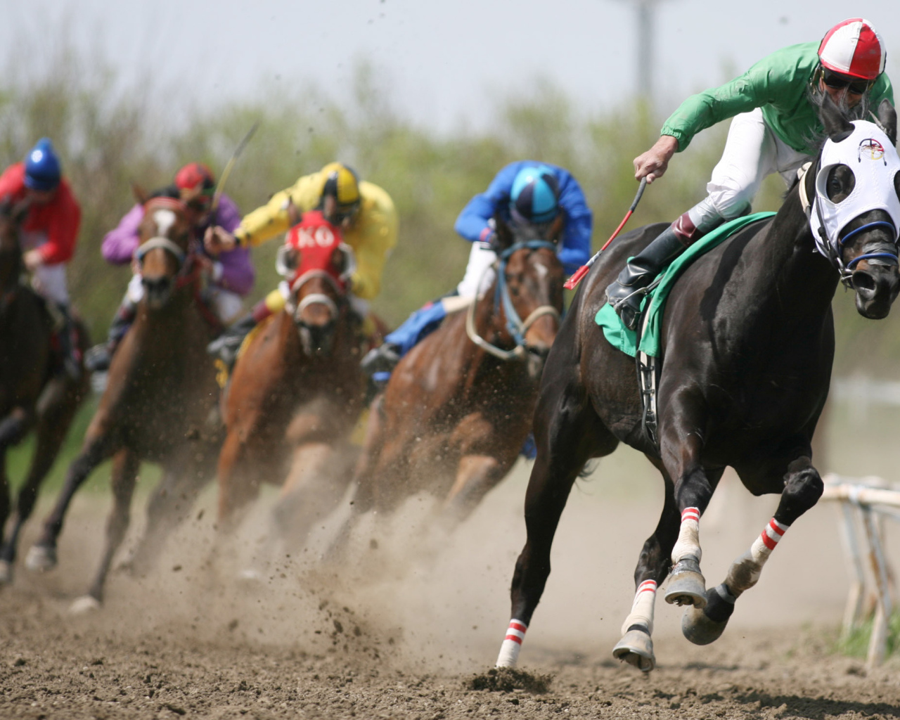 Гонки на лошадях