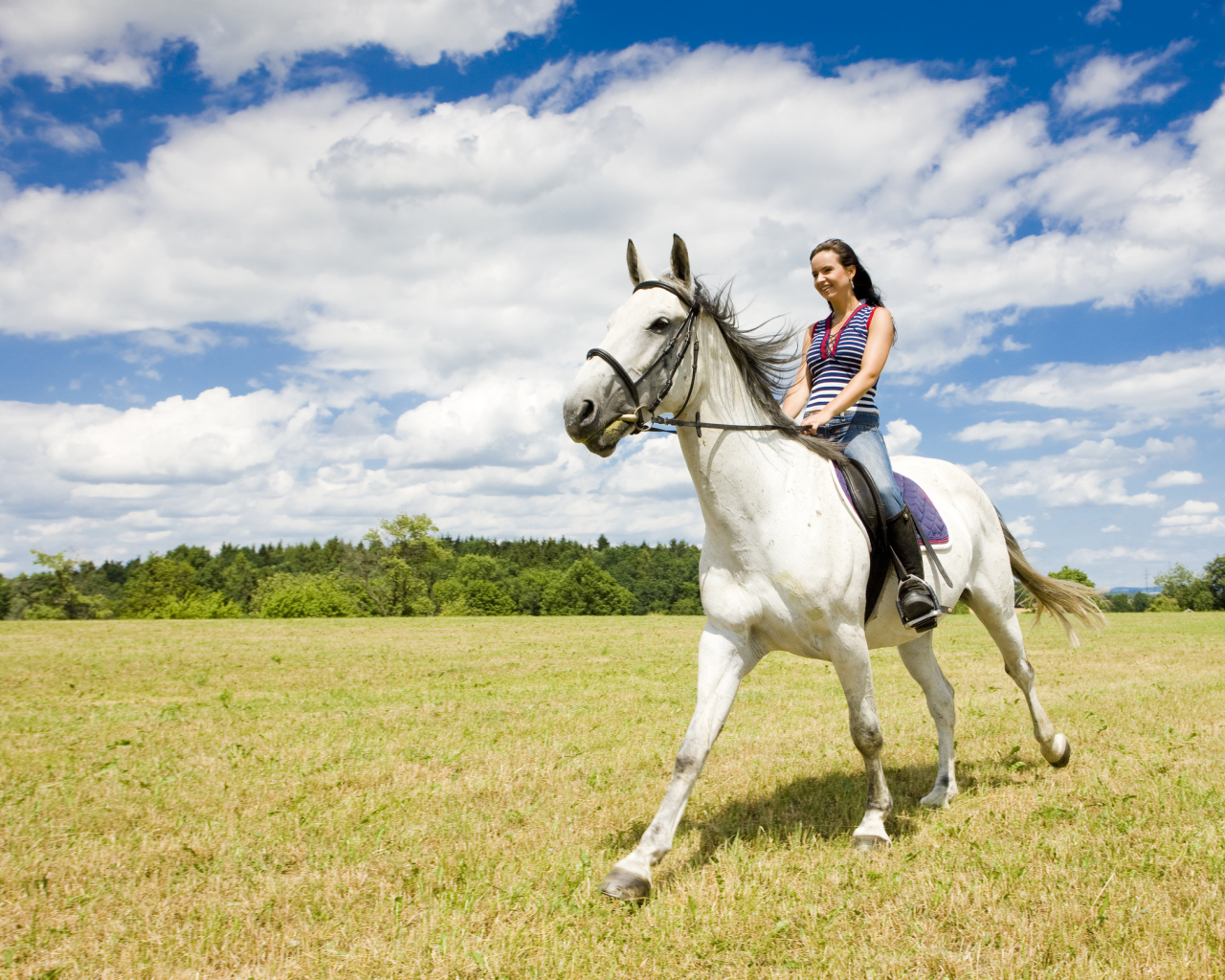 Катание на лошадях