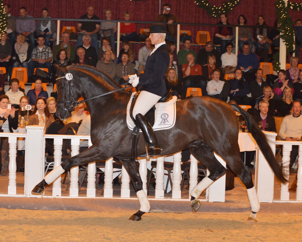 Лошади чемпионы