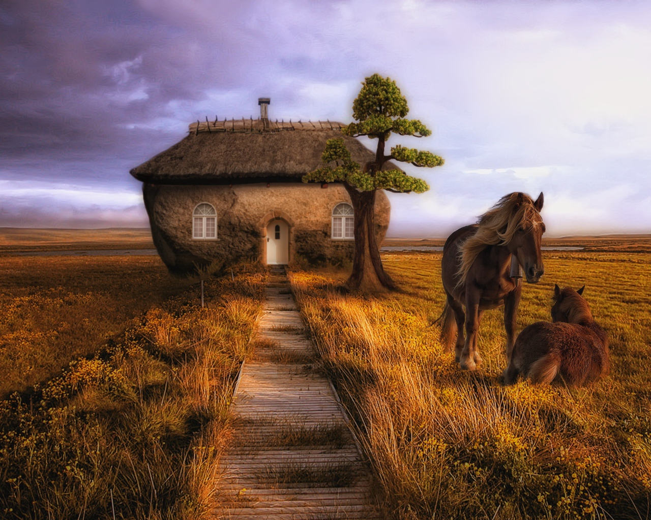 Дом лошадей