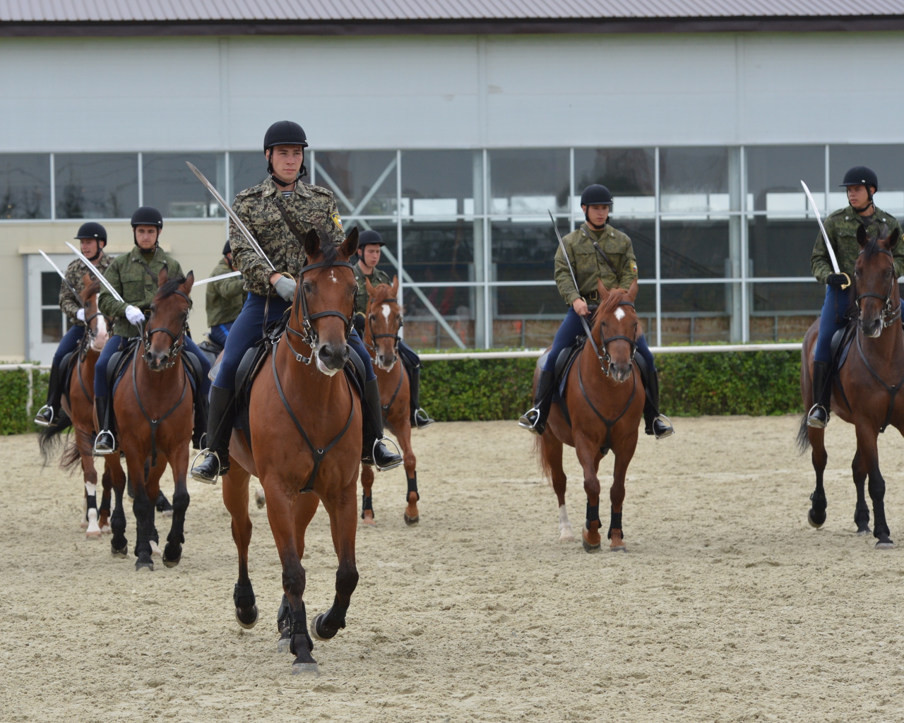 Верховая езда на лошади