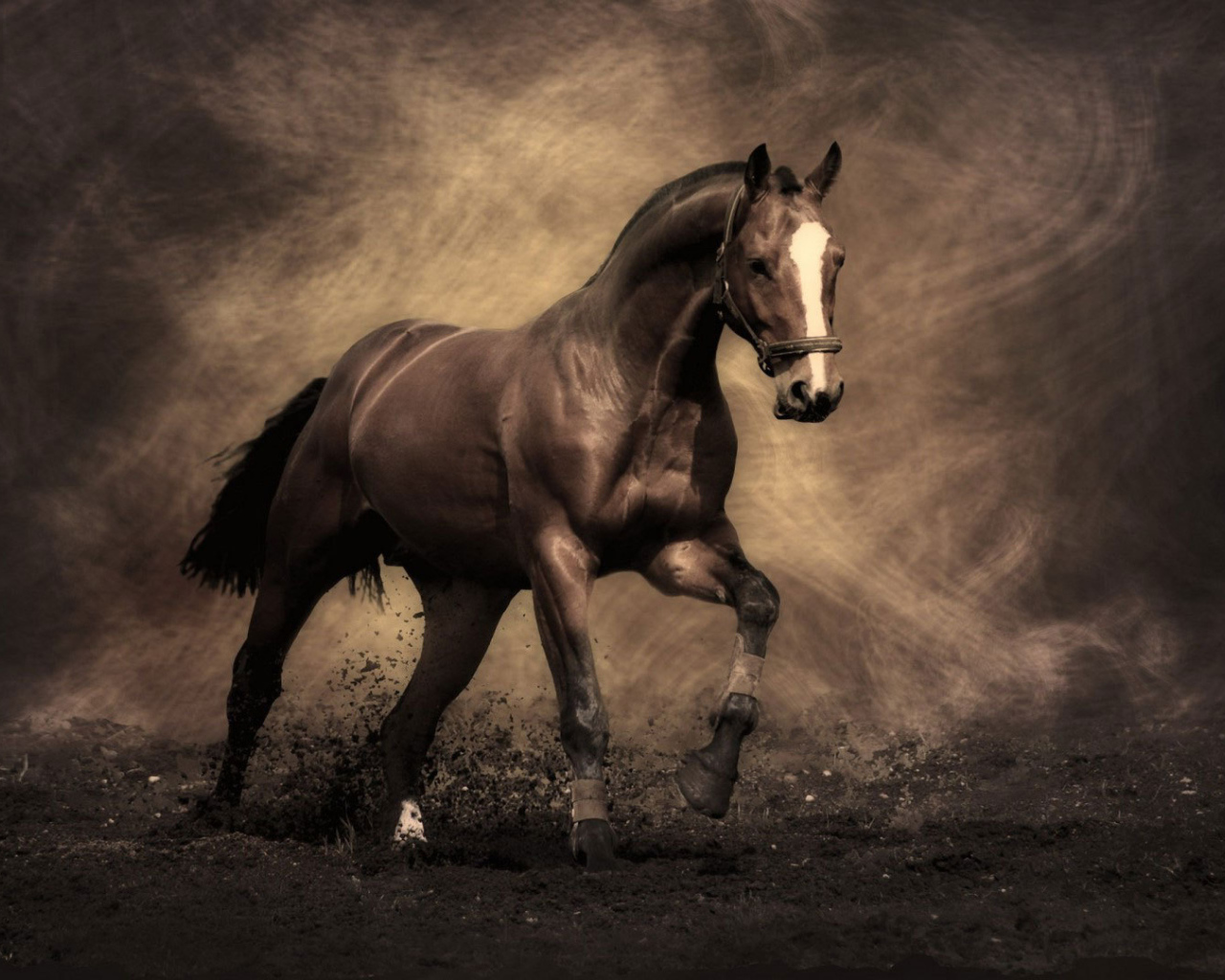 Самые знаменитые лошади