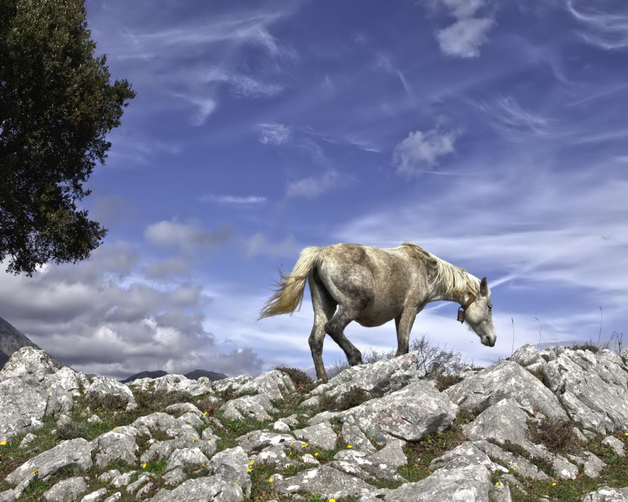 Серебряная лошадь