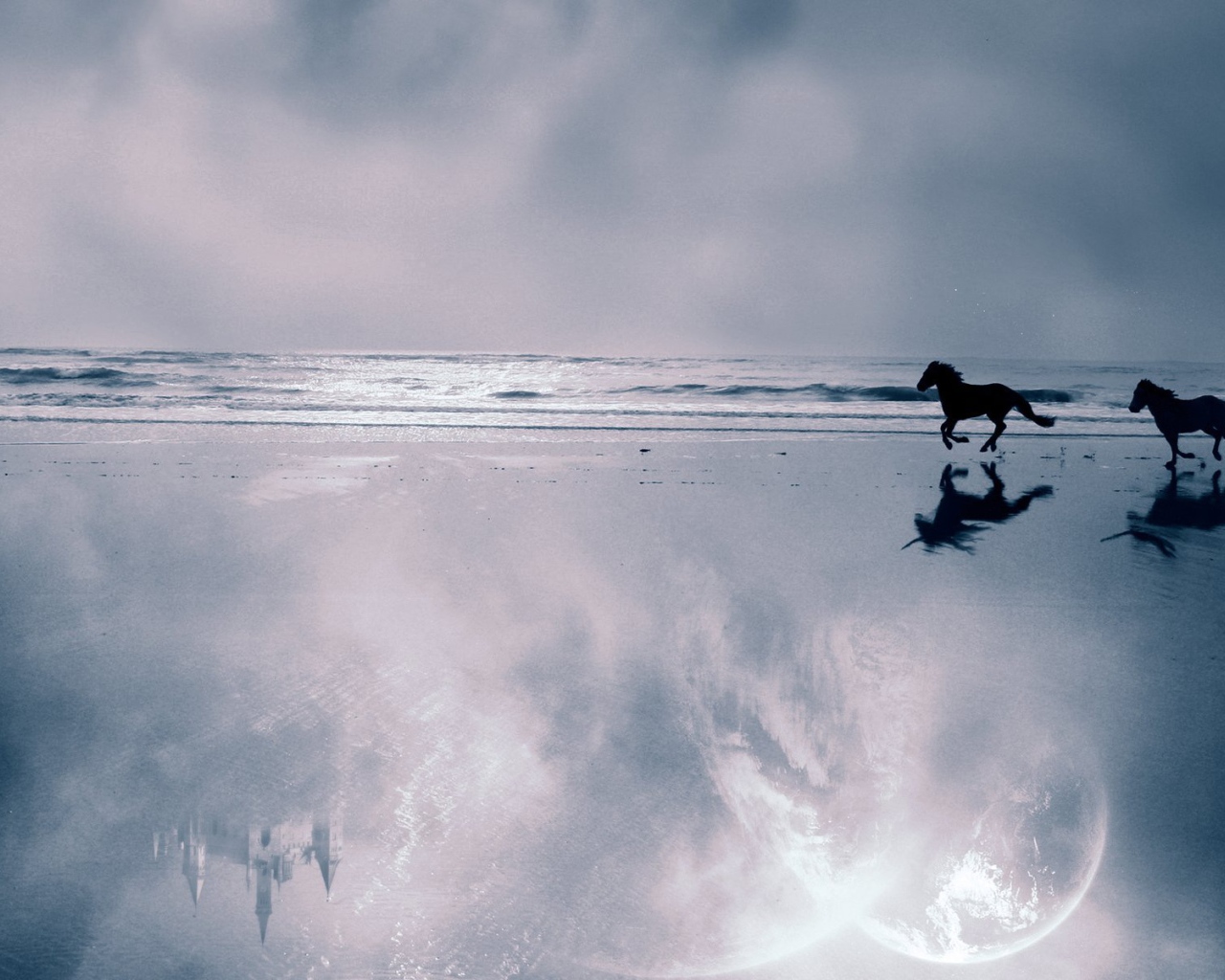 Мир лошадей