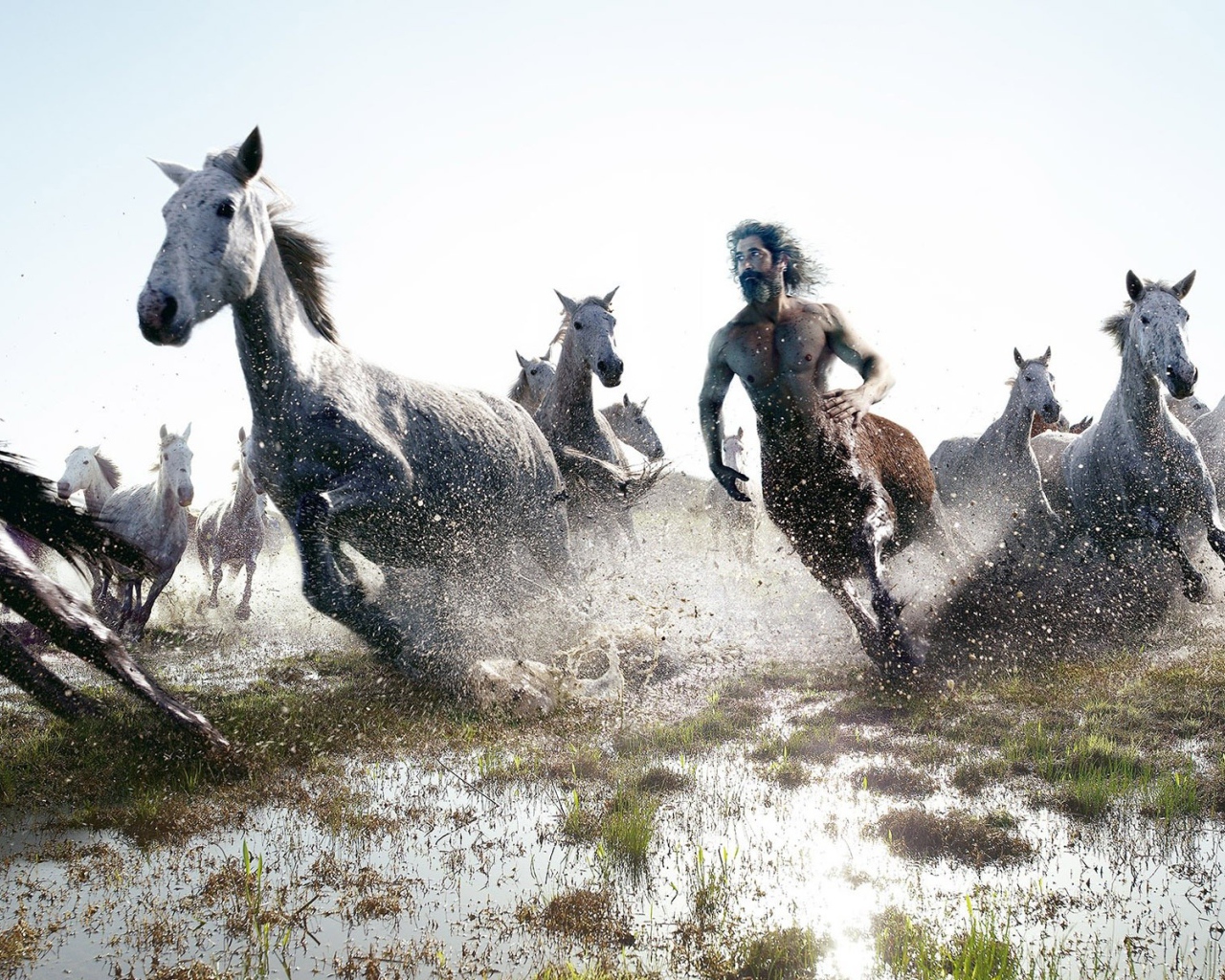 Кентавр скачет с табуном лошадей