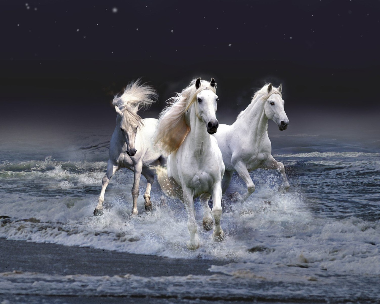 Тройка белых лошадей